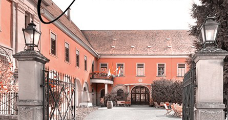 Bild zu Wein im Schlosshof